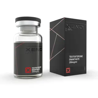 Xeno Labs Testosterone Enanthate - 250mg/10ml